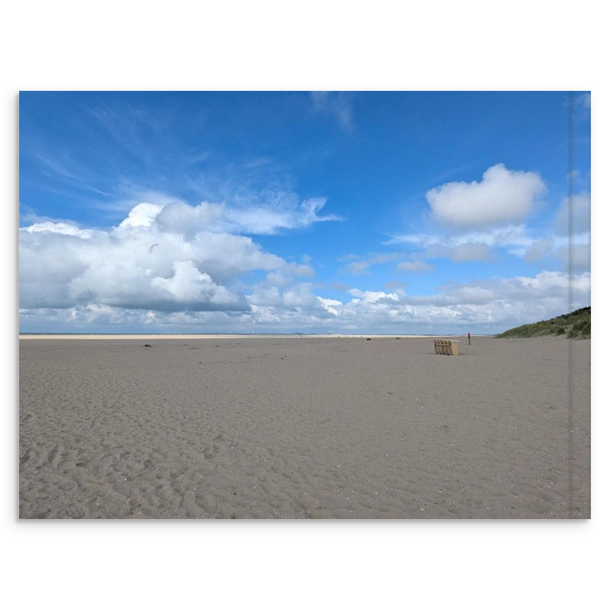 12a4ad14-204a-4426-90e8-8fdf4779c01a
